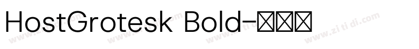 HostGrotesk Bold字体转换